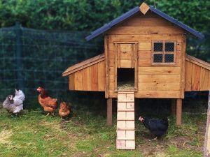 chambre d'hotes écologiques les hauts de saulies