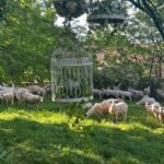 Chambre d'hôtes de charme eco-responsable- Vers - Cahors - Lot