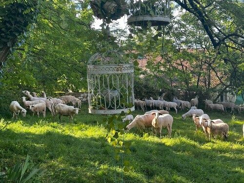 Chambre d'hôtes de charme eco-responsable- Vers - Cahors - Lot