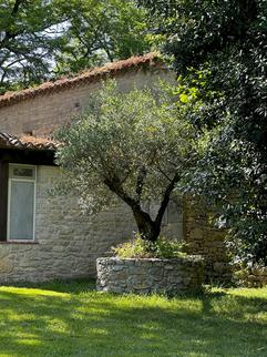 Ressourcement - Chambres d'hote de Charme - Cahors - Lot