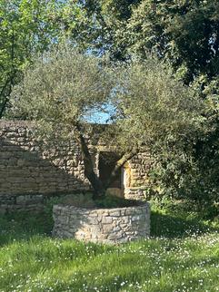 Ressourcement - Maison d'hôtes de Charme - Vers - Lot